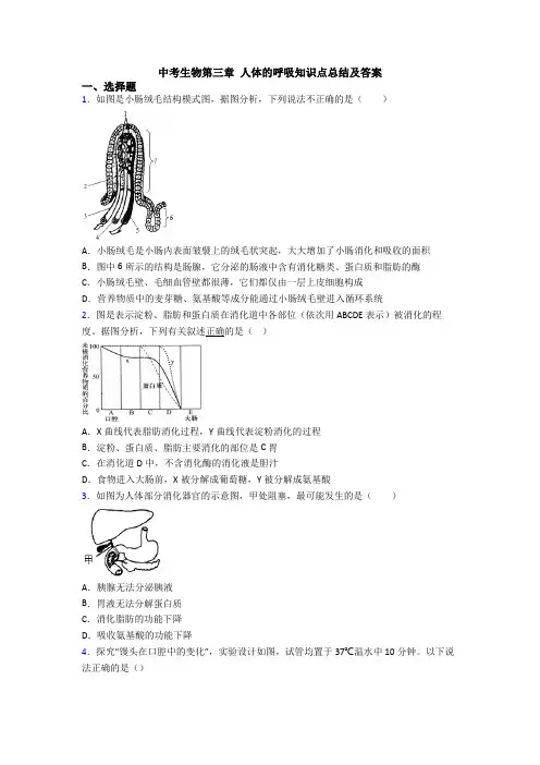 中考生物第三章 人体的呼吸知识点总结及答案