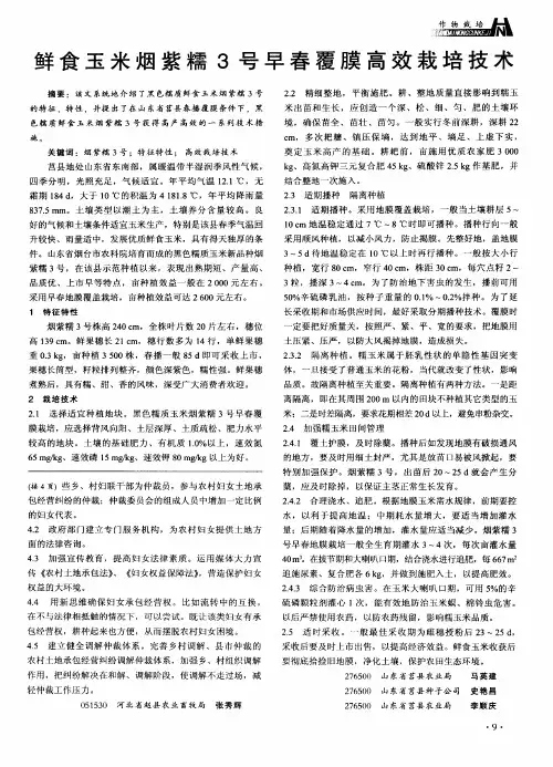 鲜食玉米烟紫糯3号早春覆膜高效栽培技术