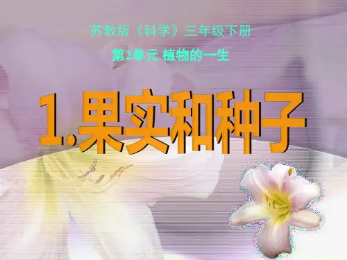 小学三年级科学下册《果实和种子》课件