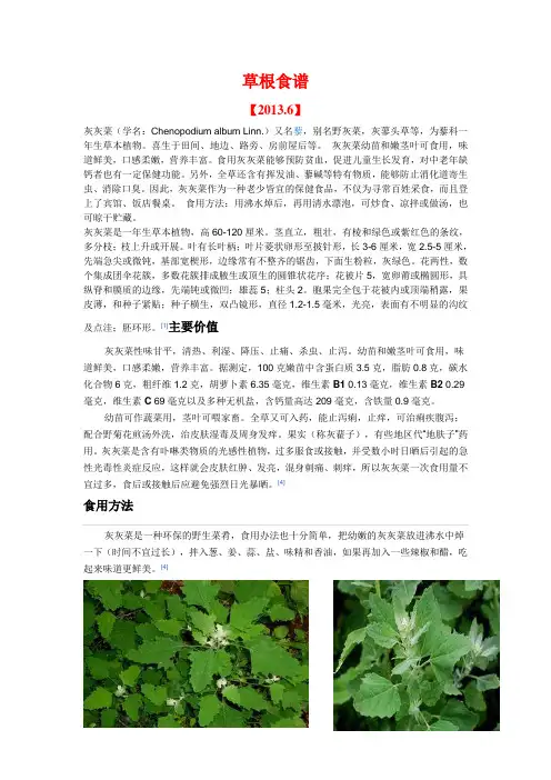 草根食谱之灰灰菜