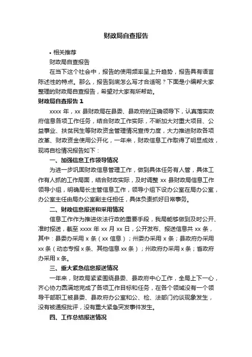 财政局自查报告