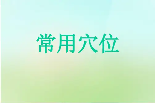 常用穴位专业课件PPT