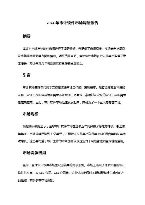 2024年审计软件市场调研报告