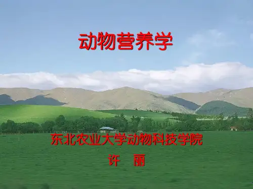 动物营养学-12第十二章1(繁殖的营养需要)