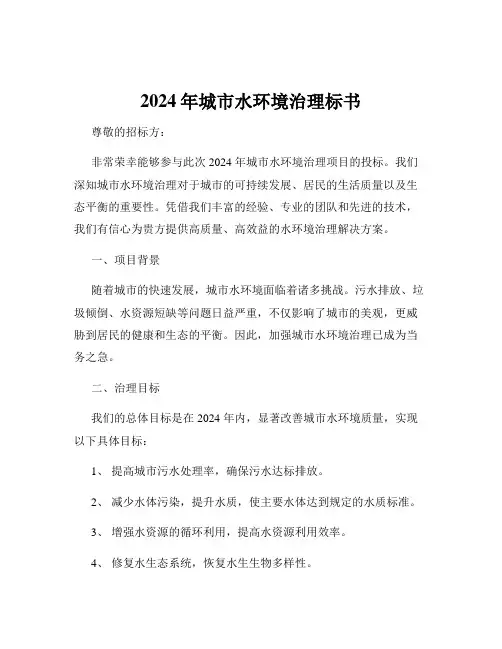 2024年城市水环境治理标书