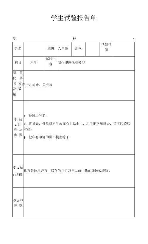 2023年苏教版小学六年级下册科学实验报告单