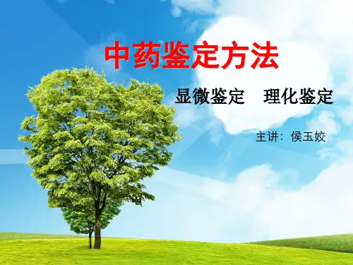 中药鉴定方法显微鉴定、理化鉴定.pptx