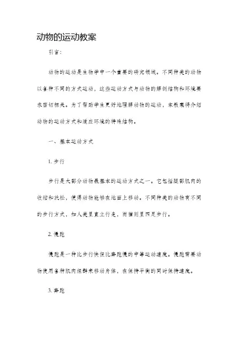 动物的运动教案