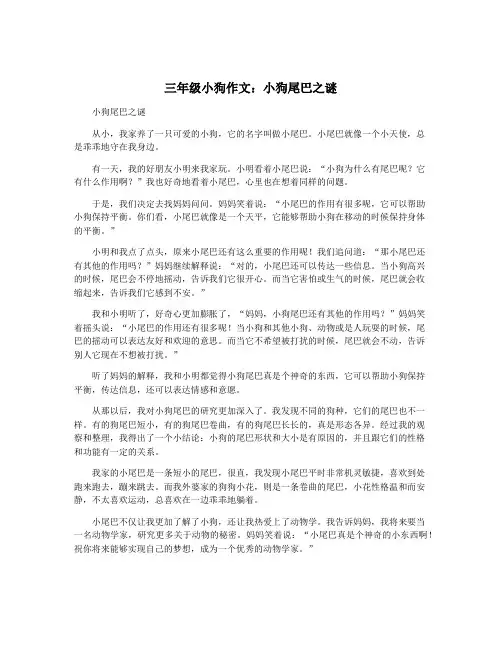 三年级小狗作文：小狗尾巴之谜