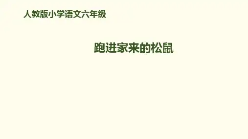 六年级上册语文课件22.跑进家来的松鼠｜人教新课标 (共37张PPT)