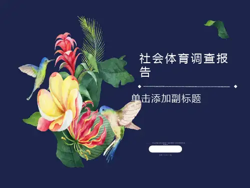 社会体育调查报告