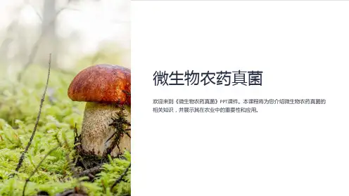 《微生物农药真菌》课件