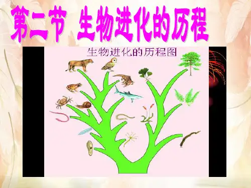 生物进化的历程PPT课件26 人教版