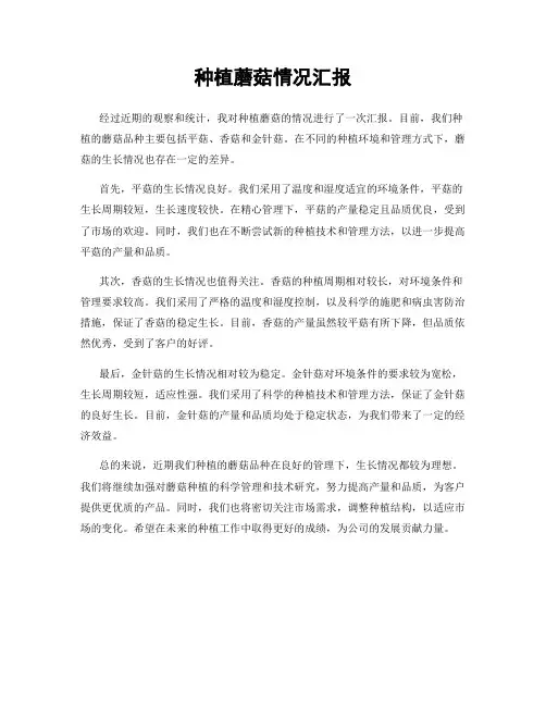 种植蘑菇情况汇报