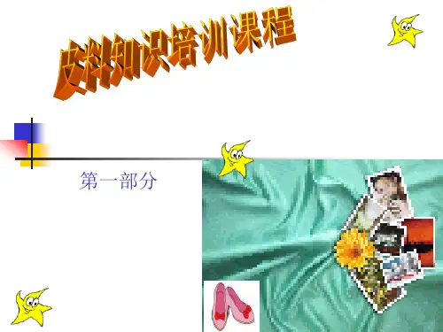 皮料知识培训课程