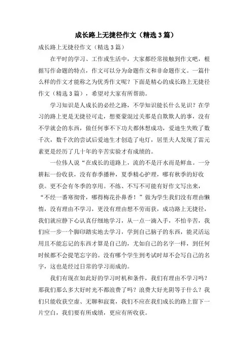 成长路上无捷径作文(3篇)