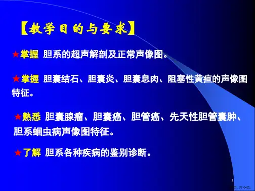 胆系超声检查课件PPT104页