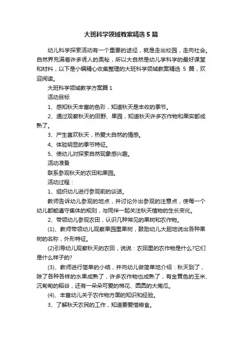 大班科学领域教案精选5篇