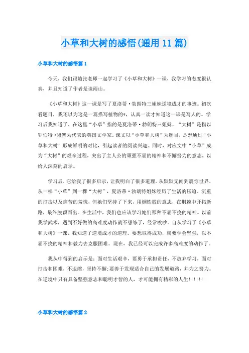 小草和大树的感悟(通用11篇)