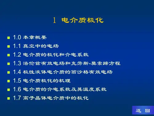 电介质物理电介质极化