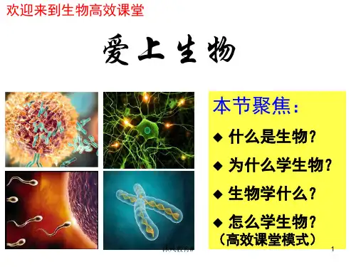 人教版高一生物必修一(课件)高中生物第一课(谷风教学)