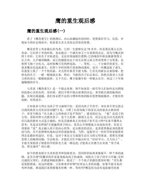鹰的重生观后感