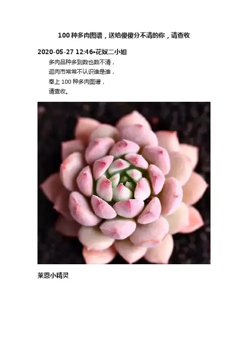100种多肉图谱，送给傻傻分不清的你，请查收