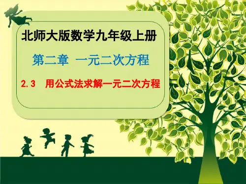 北师大版数学九年级上册 用公式法求解一元二次方程课件(共25张)
