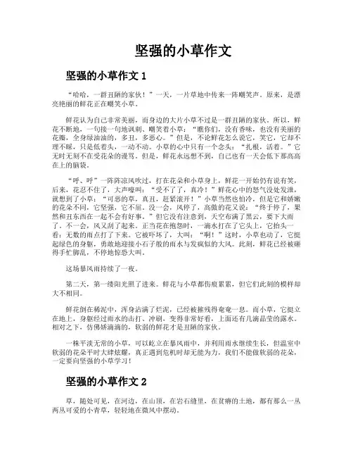 坚强的小草作文