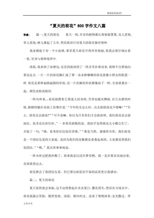 “夏天的荷花”600字作文八篇