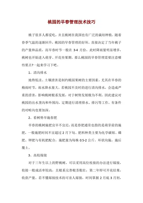 桃园的早春管理技术技巧