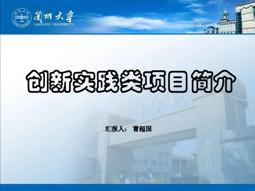 创新实践类项目简介