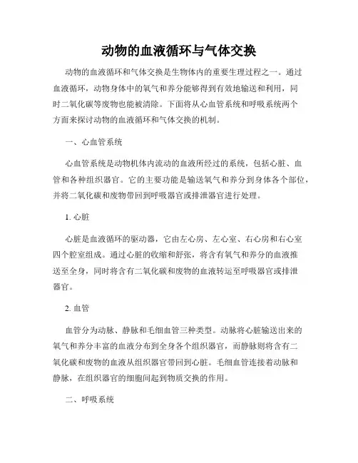 动物的血液循环与气体交换