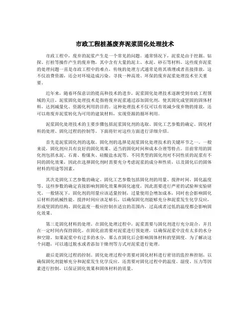 市政工程桩基废弃泥浆固化处理技术