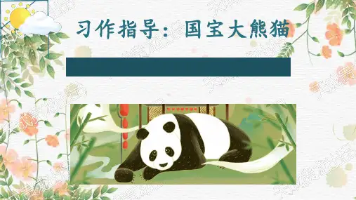 三年级语文下册第七单元习作国宝大熊猫课件(共20张PPT)