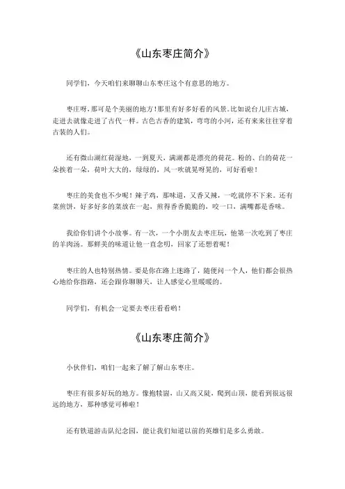 山东枣庄简介100字