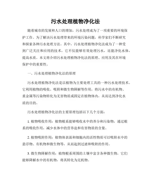 污水处理植物净化法