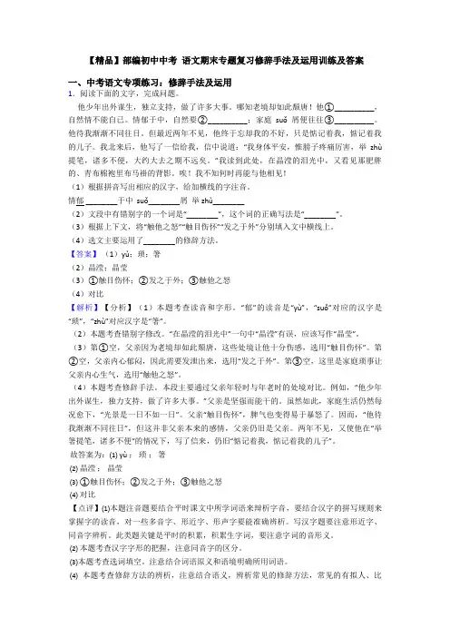 【精品】部编初中中考 语文期末专题复习修辞手法及运用训练及答案