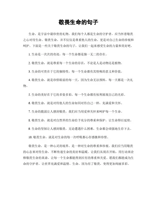 敬畏生命的句子