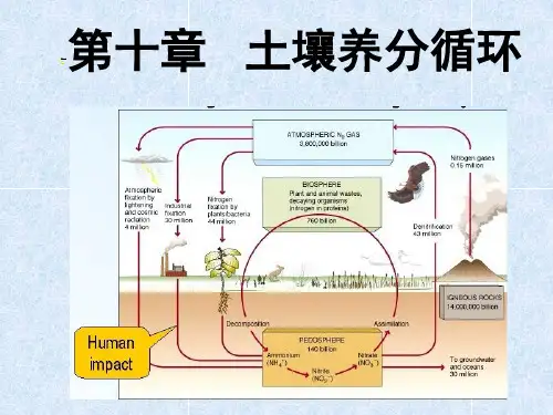 第十章 土壤养分循环详细版.ppt