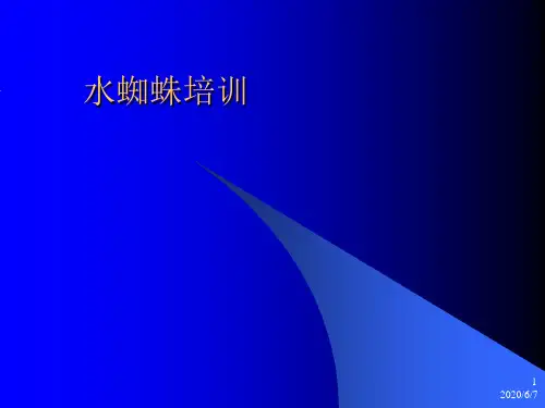 水蜘蛛