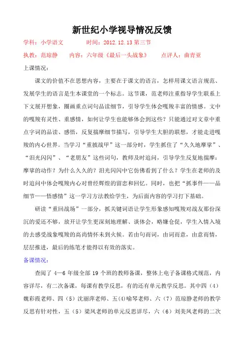 新世纪小学视导情况反馈