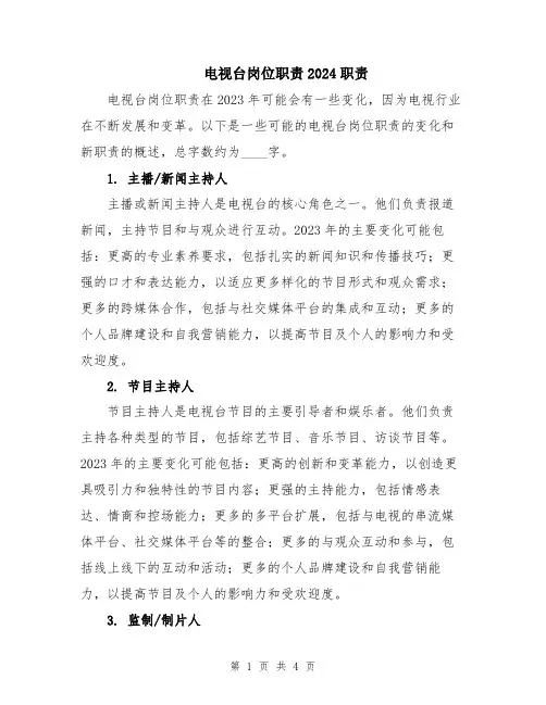 电视台岗位职责2024职责
