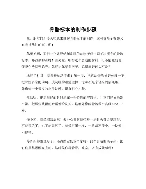 骨骼标本的制作步骤
