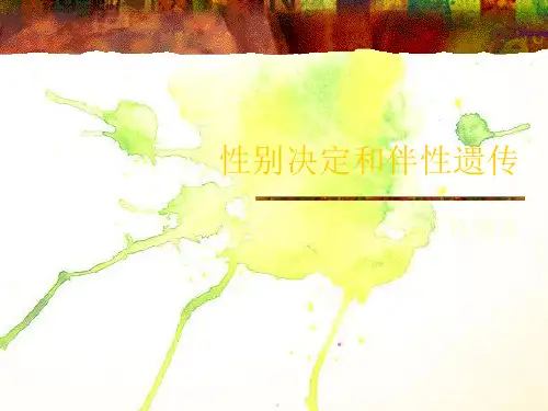 性别决定和伴性遗传PPT教学课件
