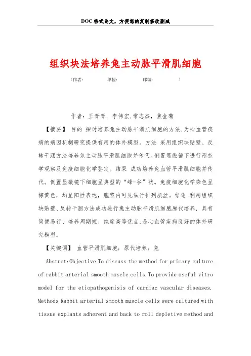 组织块法培养兔主动脉平滑肌细胞