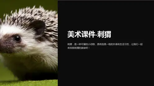 美术课件-刺猬