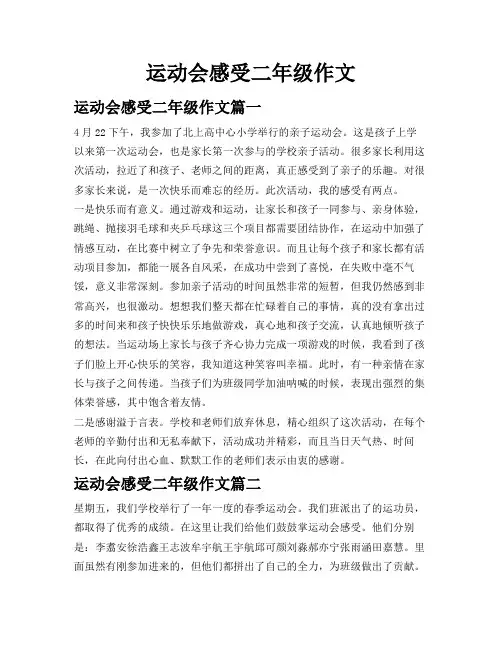 运动会感受二年级作文