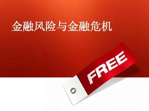 金融风险与金融危机