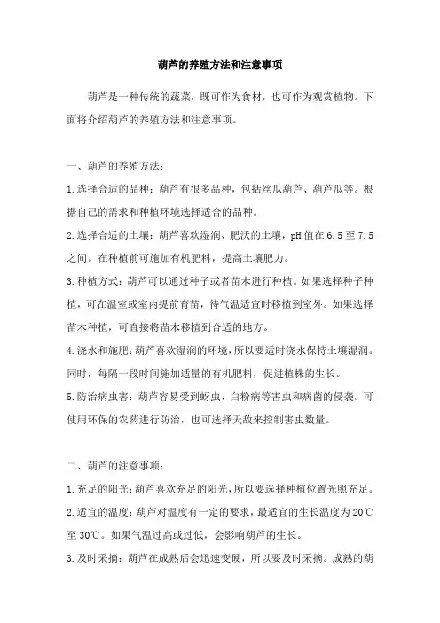 葫芦的养殖方法和注意事项